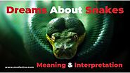 Dreams About Snakes Meaning & Interpretation - Cool Astro