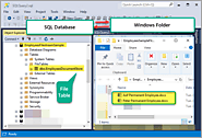 Learn to Store and Analyse Documents on Windows File System with SQL Server Semantic Search - Part 1 – {coding}Sight