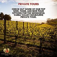 How Long Does Sparkling Wine & Champagne Last After Opening at Melbourne Private tours? – Melbourne Private Tours
