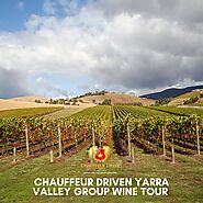 Why Is Blind Wine Tasting A Thing Yarra Valley Private Winery tours? – Chauffeurdrive Yarra Valley, Melbourne