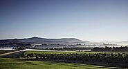 Book Exclusive Private Winery Tours Yarra Valley
