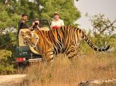 Bandhavgarh National Park