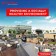 Anthurium — Best Co-working Office Space In Noida If you have...