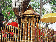 Jaya Sri Maha bodhi