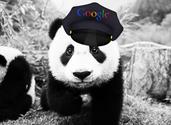 Google Panda Strategies For Digital Marketers