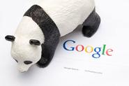 Tackle Google Panda With Right Tactics