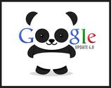 Survive Google Panda Update With Effective Strategies