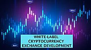 Showcase your financial prowess by indulging in White-label Cryptocurrency Exchange Development