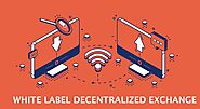 Achieve greater heights with a White Label Decentralized Exchange