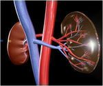 Kidney, Liver, Bone Marrow Transplantation in India | Best Transplant Counsellor