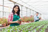 Nursery and Greenhouse Managers