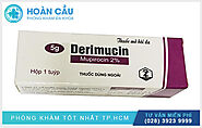 Tìm hiểu về thuốc Derimucin điều trị bệnh da liễu
