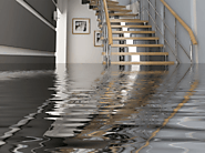 Technician For Water Damage In Naples | Service Master By Restoration