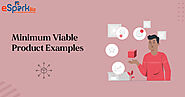 Diving Into Best Minimum Viable Product Example For Startup - eSparkBiz