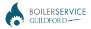 Availing Boiler Replacement Services Guildford