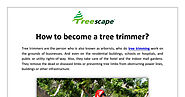 How to become a tree trimmer?