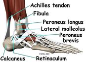 Foot and Ankle Surgery-Dr.Robert Afra-San Diego Orthopedics