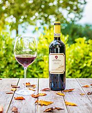 Wine Tasting in San Miniato | Discover San Miniato