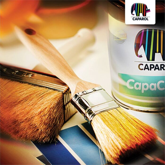 Innovative Painting Solutions in UAE Caparol Paints A Listly List