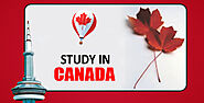 Handpicked points to keep in mind while you are planning to study abroad – Study in Canada