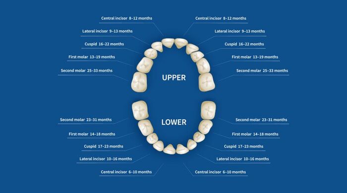 Dental A Listly List