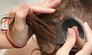 How To Remove Head Lice?
