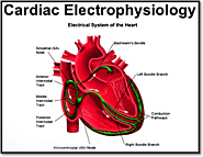 Treatment For Congenital Heart Defects - Genesis Foundation