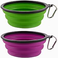 Staruby Collapsible Pet Bowl