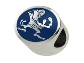 Notre Dame Fighting Irish Pandora Charms | University Pandora Charms