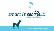 Introducing Sentinel® Spectrum® (milbemycin oxime, lufenuron, praziquantel)