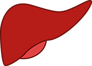 Seven Things to Avoid after Liver Transplant