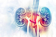 Top 10 Kidney Specialists in India - Post Pear