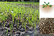 Fertilization is an indispensable means to ensure high and stable crop yields in agricultural production