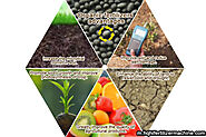 Application of organic fertilizer and matters needing attention