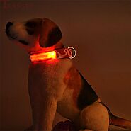 Dog Collars | Dog Leashes | Pet Scarf Bandana | Your Pets Home