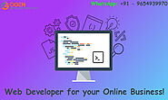 Hiring the Right Web Developer for your Online Business!