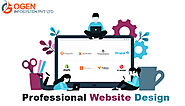 Why one should hire a Professional Website Design Firm for Success?