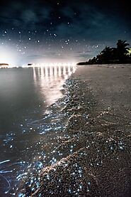 Stroll on Glowing Beaches