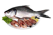 Online Fish Market Dubai - Arabianfreshfish