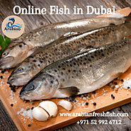 Online Fish in Dubai