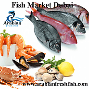 Fish Market Dubai