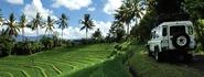 Explore local villages and admire Bali's famous rice paddies