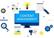 Best Content Management System Training Institute in Jubilee Hills, Hyderabad | Digital Raiz