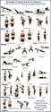 Kettlebell Exercises for Weight Loss - Best Home Workout