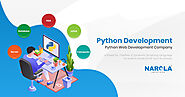 Python Web Application Development Company | Narola Infotech