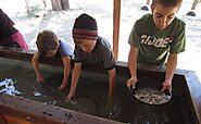 A Guide to Gold Panning in El Dorado County