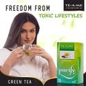 Tulsi Green Tea – The Indian Elixir