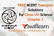 Class 8 NCERT Exemplar Science Chapter 2 Microorganisms – Friend and Foe | Swiflearn