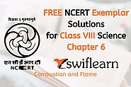 Class 8 NCERT Exemplar Science Chapter 6 Combustion and Flame | Swiflearn
