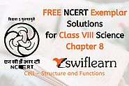 Class 8 NCERT Exemplar Science Chapter 8 Cell – Structure and Functions | Swiflearn